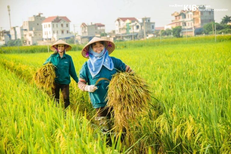 cổ phiếu ngành nông nghiệp